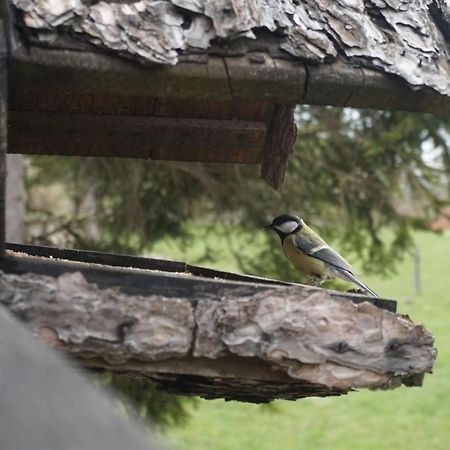 Tilia Cottage Banjska Stena Mitrovac Luaran gambar