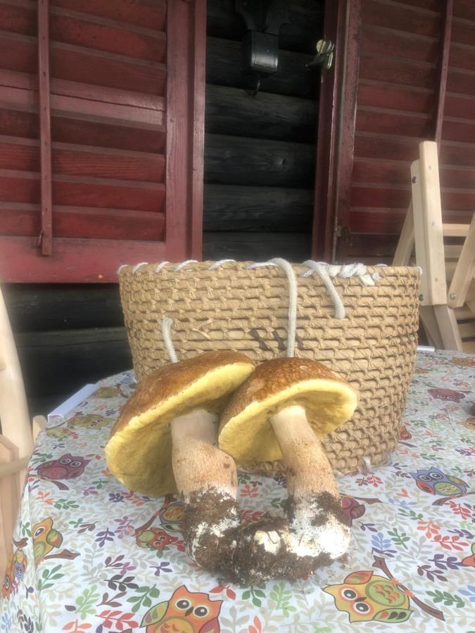 Tilia Cottage Banjska Stena Mitrovac Luaran gambar